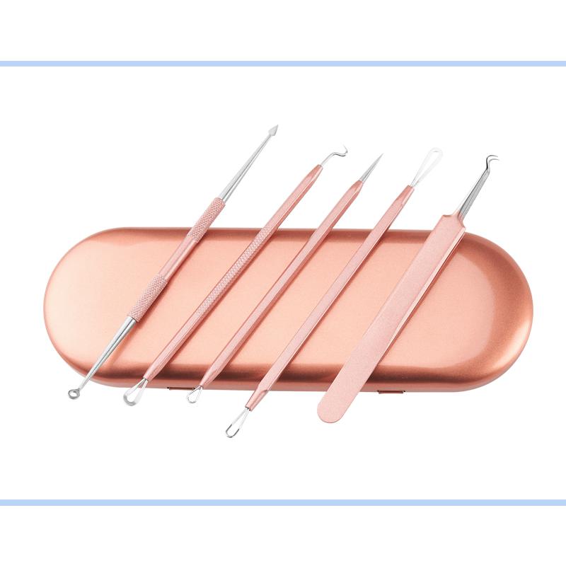 5pcs/set Stainless Steel Blackhead Extractor Set Acne Needle Tweezer Pimple Removal Tools